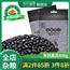有机黑豆豆浆豆