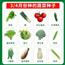 沉浸式菜品种子绿色有机安全放心可食用蔬菜包教包会