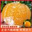 万载胡柚孕妇水果新鲜老树柚子农家果园原产地直发净重江西特产