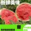 正宗美都麒麟西瓜