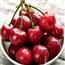 新鲜空运黑珍珠大樱桃