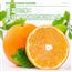 正宗江西赣南脐橙直发当季新鲜水果整箱手剥橙子当季顺丰包邮