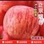 正宗烟台红富士苹果应当季新鲜水果整箱山东脆甜冰糖心苹果