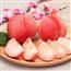 当季水蜜桃