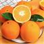 橙子
