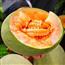 哈密瓜