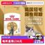 英国短腿猫粮
