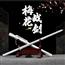 梅花战剑