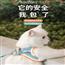 宠物猫咪牵引绳