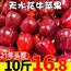江洲天水花牛苹果10斤水果新鲜当季整箱应季红蛇果正宗粉面包邮5