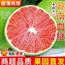 血橙
