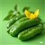AAA月之森特色新品苦瓜批发有机农产品手工种植现摘现卖