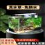 鱼缸造景全套热弯玻璃缸客厅小型桌面免换水生态草缸迷你金鱼缸