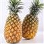 菠萝