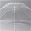 小清新透明雨伞简约男女通用