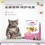 成猫粮营养森林粮高营养美短蓝猫全价通用天然粮10kg