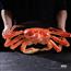 帝王蟹鲜活智利进口熟冻海鲜水产特大螃蟹皇帝蟹