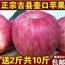 水果苹果耐斯果园吉县苹果壶口苹果新鲜红富士10斤装