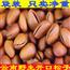 新货云南野生开口松子散装手剥松子仁500g/1000g/5斤坚果零食年货