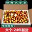  正宗陕西冬枣5斤大枣子新鲜当季水果脆枣鲜枣甜枣青奶枣