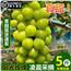 阳光玫瑰葡萄新鲜孕妇水果5斤晴王葡萄无籽香印提子青提当季整箱