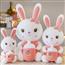 精美可爱礼物兔子
