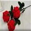 送礼玫瑰