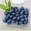 蓝莓