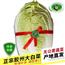 胶州新鲜无公害白菜一棵5斤左礼盒装包邮