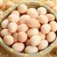 鸡！鸡蛋