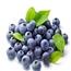 蓝莓