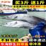 【渔夫家】东海野生鲜带鱼海鲜水产非冷冻