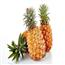 海南菠萝非泰国小菠萝现摘香水菠萝新鲜水果凤梨除异甲醛 5斤包邮