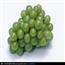 葡萄