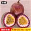 广西热带新鲜百香果5斤装