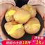 新鲜高山小土豆10斤包邮