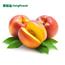 Fairy Peach 果园现摘！奉贤新鲜油桃原生态现摘现发 就是甜 浙江沪包邮