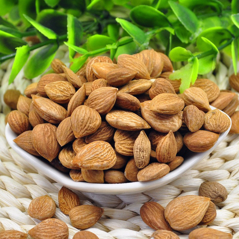 文熙夏威夷坚果