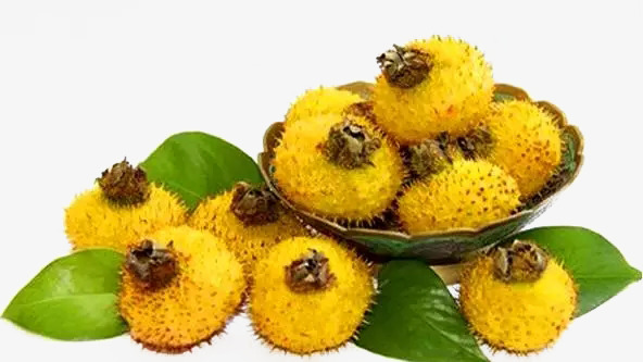 贵州安顺无耔刺梨5斤装