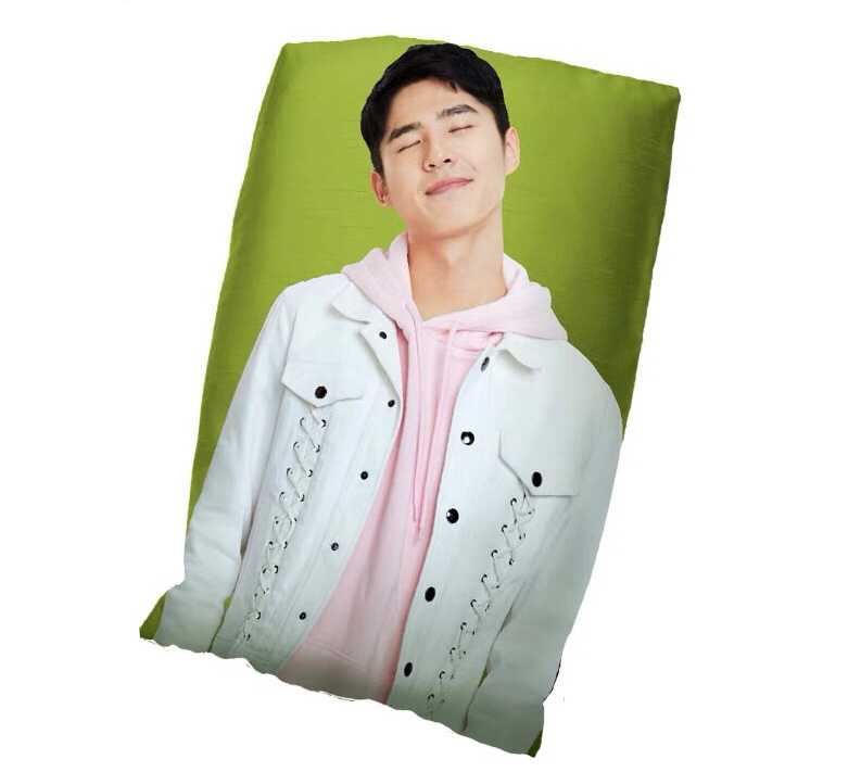 刘昊然抱枕新款